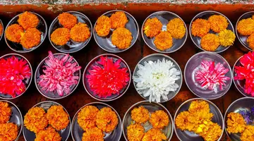 Indie i Nepal De Luxe