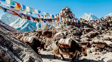 Indie i Nepal De Luxe