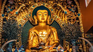 Indie i Nepal De Luxe