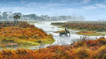 Indie i Nepal De Luxe