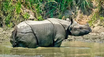 Indie i Nepal De Luxe