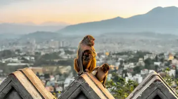 Indie i Nepal