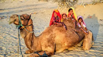 Indie- Kolory Pustynnych Miast