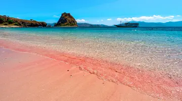Indonezja - śladami smoków z Komodo - 12 dni