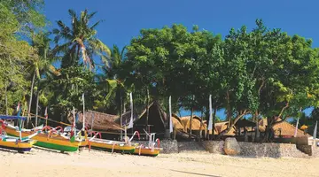 Indonezja - śladami smoków z Komodo - 12 dni