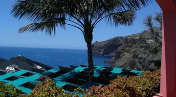 Inn & Art Madeira