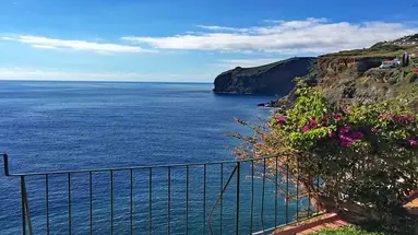 Inn & Art Madeira