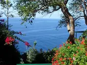 Inn & Art Madeira