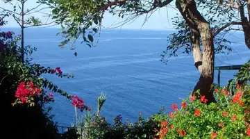 Inn & Art Madeira