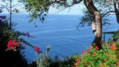 Inn & Art Madeira