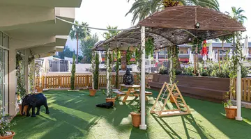 INNSIDE ALCUDIA