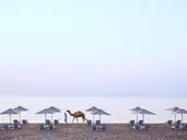 Intercontinental Fujairah Resort
