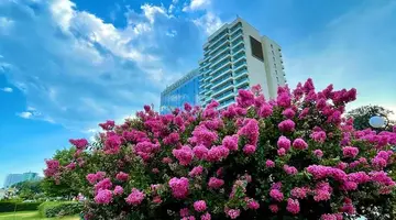 INTERNATIONAL Hotel Casino & Tower Suite