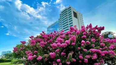 INTERNATIONAL Hotel Casino & Tower Suite