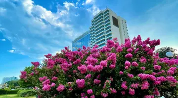 International Hotel Casino & Tower Suites