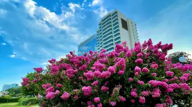International Hotel Casino & Tower Suites