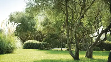 Inturotel Azul Garden