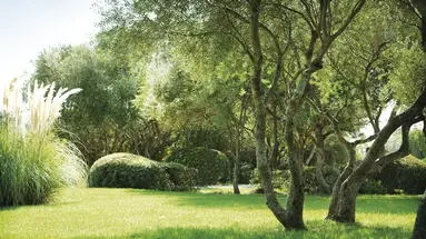Inturotel Azul Garden