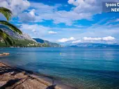 Ipsos Di Mare
