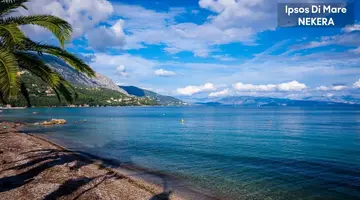 Ipsos Di Mare