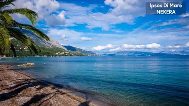 Ipsos Di Mare