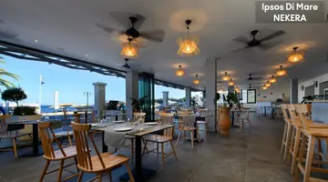 Ipsos Di Mare