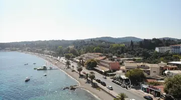 Ipsos Di Mare