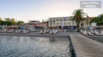 Ipsos Di Mare