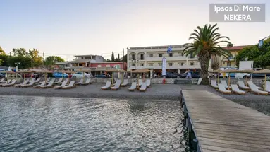 Ipsos Di Mare