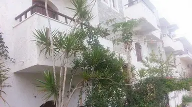 IRENE APARTMENTS