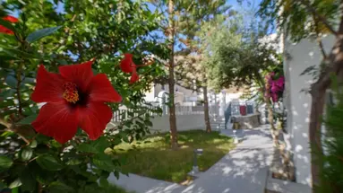 Iris Boutique Hotel