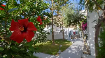 Iris Boutique Hotel