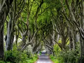 Irlandia i Irlandia Północna - legendy wykute w skałach