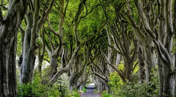 Irlandia i Irlandia Północna - legendy wykute w skałach