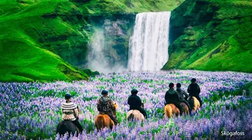Islandia - Białe Noce na Czarnej Plaży