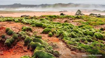 Islandia - Białe Noce na Czarnej Plaży
