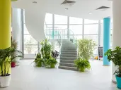 Ivana Palace