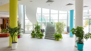 Ivana Palace