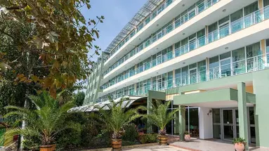 Ivana Palace