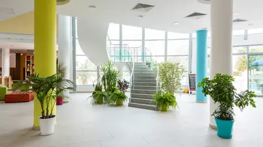 IVANA PALACE