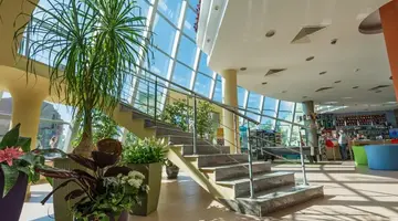 Ivana Palace