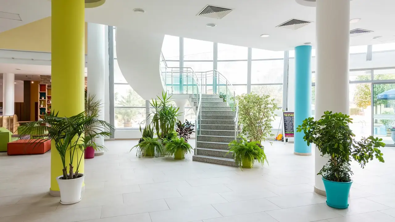 IVANA PALACE