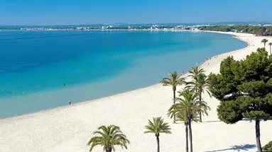 Ivory Playa Aparthotel