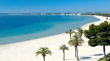 Ivory Playa Aparthotel