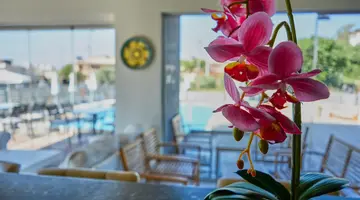 Ivory Serenity Hotel