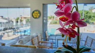 Ivory Serenity Hotel