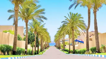 Ivy Cyrene Island Aqua Park Resort