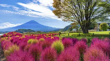 Japonia - Aktywny Zen