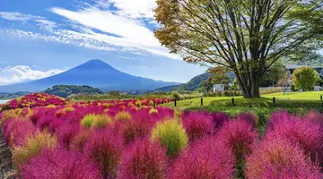 Japonia - Aktywny Zen