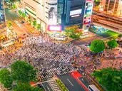 Japonia - Dwie wyspy Samurajów 2025